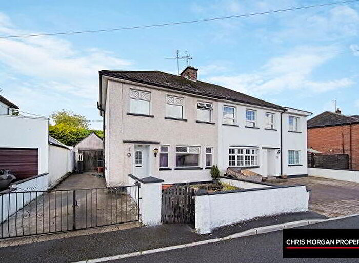 3 Bedroom Semi-Detached House For Sale In Glenmont Park, Dungannon, BT71