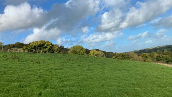Land For Sale In Christow, Newton Abbot, Devon, EX6