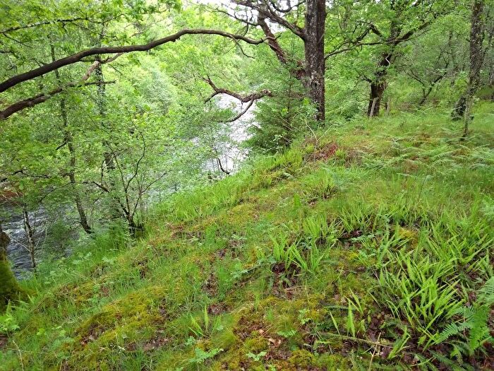 Land For Sale In Braeroy Road, Roy Bridge, Inverness-Shire, Highland, PH31