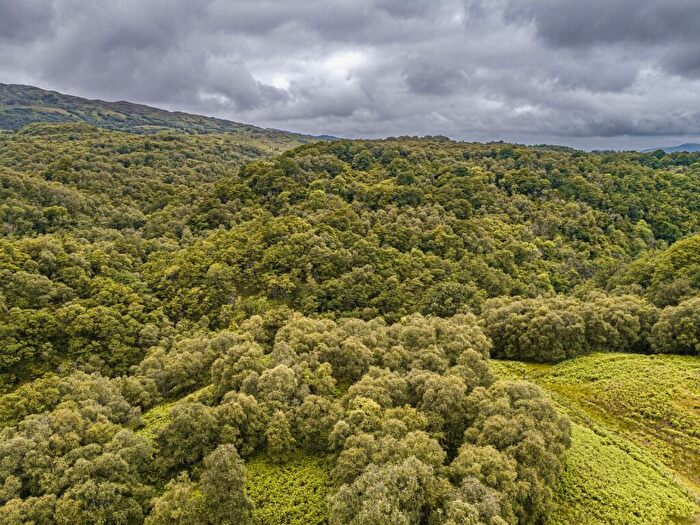 Land For Sale In Glen Nant, Taynuilt, Argyllshire, PA35