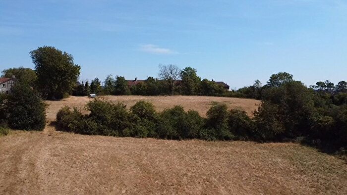 Land For Sale In Middlezoy, Somerset, TA7