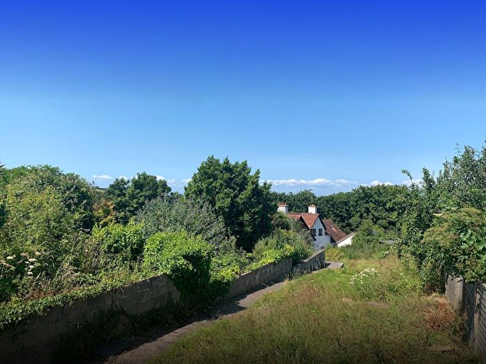 Land For Sale In Single, Watchet, Somerset, TA23