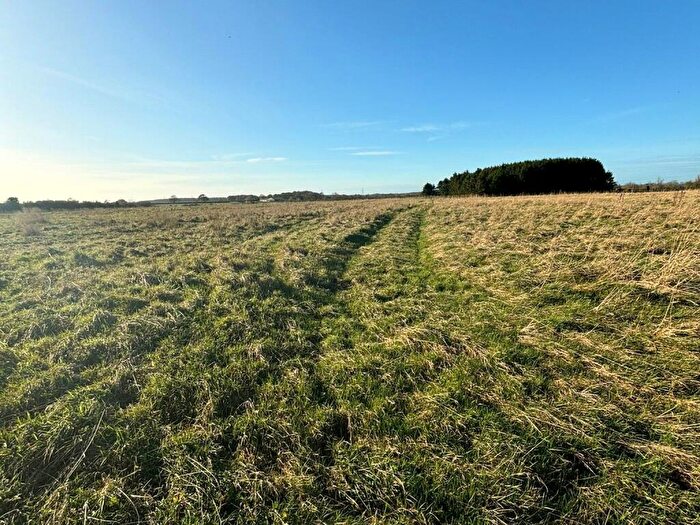 Land To Rent In North Grange, Ponteland, Newcastle Upon Tyne, Northumberland, NE20
