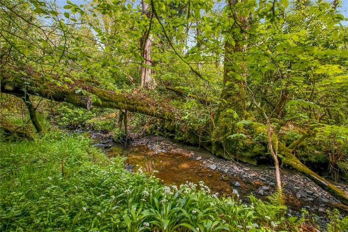 Land For Sale In Halsdon Mill- Lot, Dolton, Winkleigh, Devon, EX19