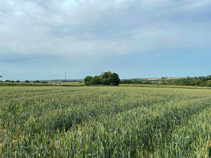 Land For Sale In Land At Broadwoodkelly, Winkleigh, Devon, EX19