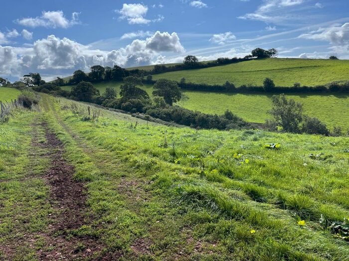 Land For Sale In Longcombe, Totnes, TQ9
