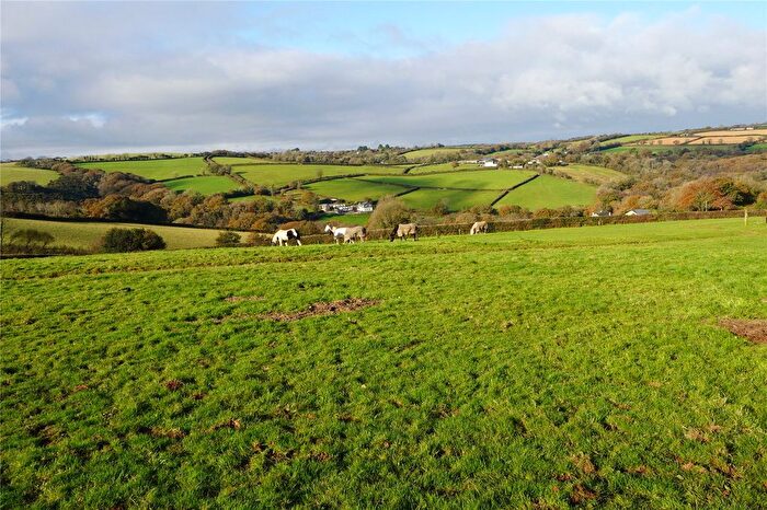 Land For Sale In Mount, Bodmin, Cornwall, PL30