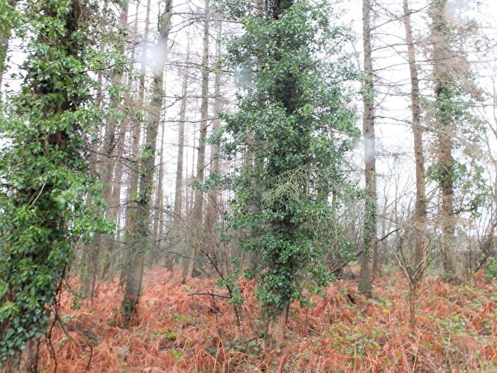 Land For Sale In Acton Coppice, Tedstone Wafre, Bromyard, HR7