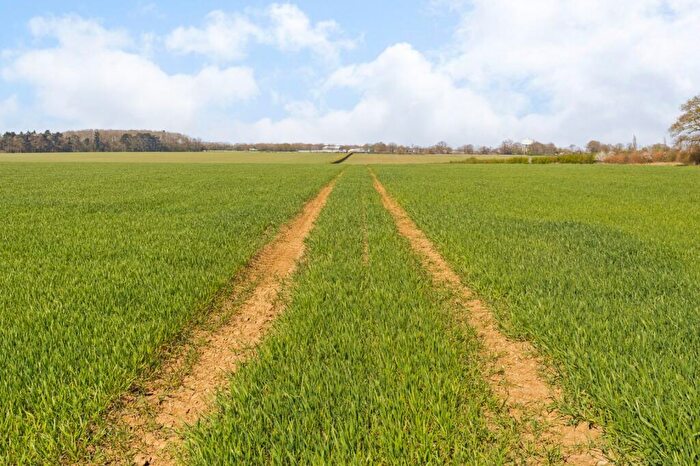 Land For Sale In Waltham Hall And Warish Hall Farm, Bambers Green, Takeley, Bishop's Stortford, CM22