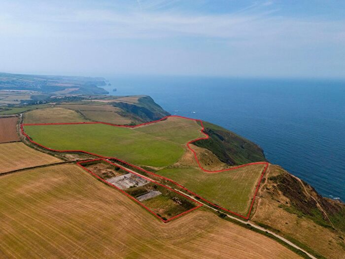 Land For Sale In St Juliot, Boscastle, PL35