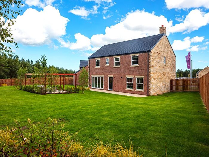 4 Bedroom Detached House For Sale In Aspen Lane, Burgham, NE65