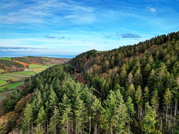 Land For Sale In Bryn Y M Aen Wood, Nr Colwyn Bay, LL29