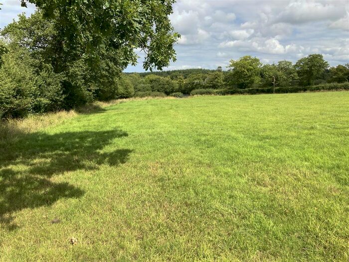 Land For Sale In Ashwater, Beaworthy, EX21
