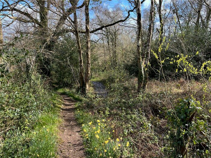 Land For Sale In Colyton, EX24