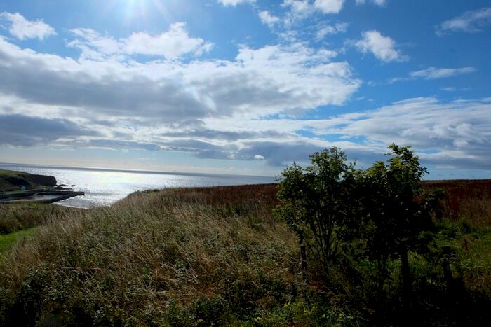 Land For Sale In Dunbeath, KW6