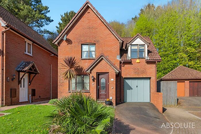 3 Bedroom Detached House For Sale In Heron Way, Torquay, TQ2