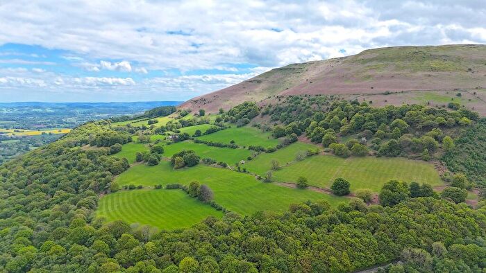 Farm Land For Sale In Llanfoist, Abergavenny., NP7
