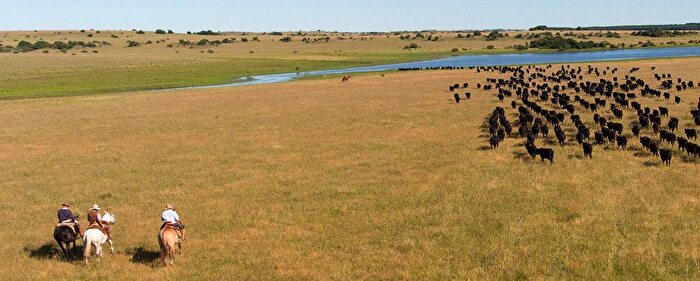 1 Bedroom Country House For Sale In Charvil Meadow Road, Charvil, Reading, RG10