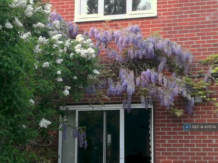 4 Bedroom Detached House To Rent In Chaney Road, Colchester, CO7