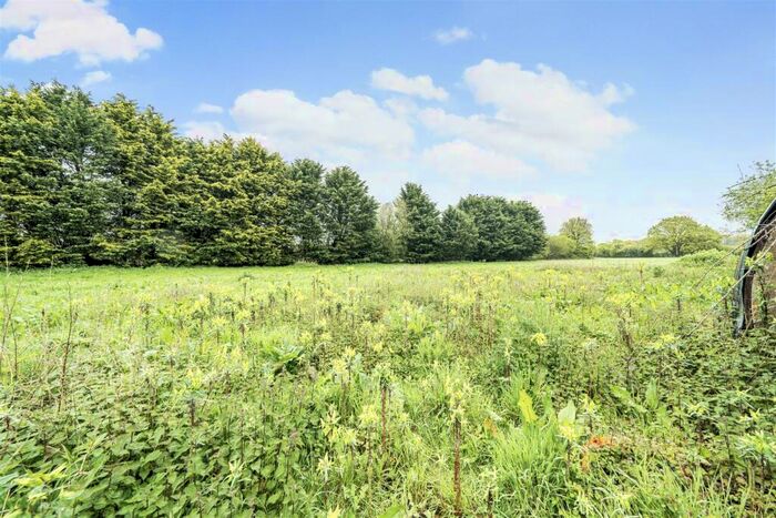 Farm Land For Sale In East Orchard, Shaftesbury, SP7