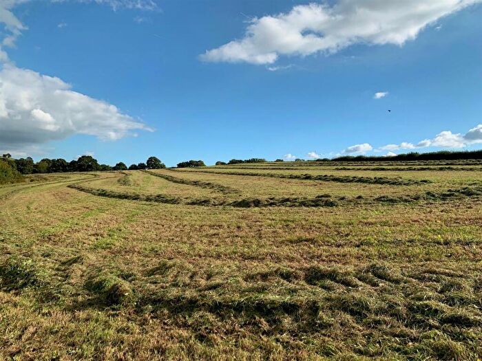 Land For Sale In Coldridge, Tiverton, EX17