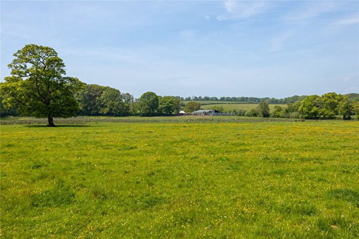 Land For Sale In Okehampton, Devon, EX20