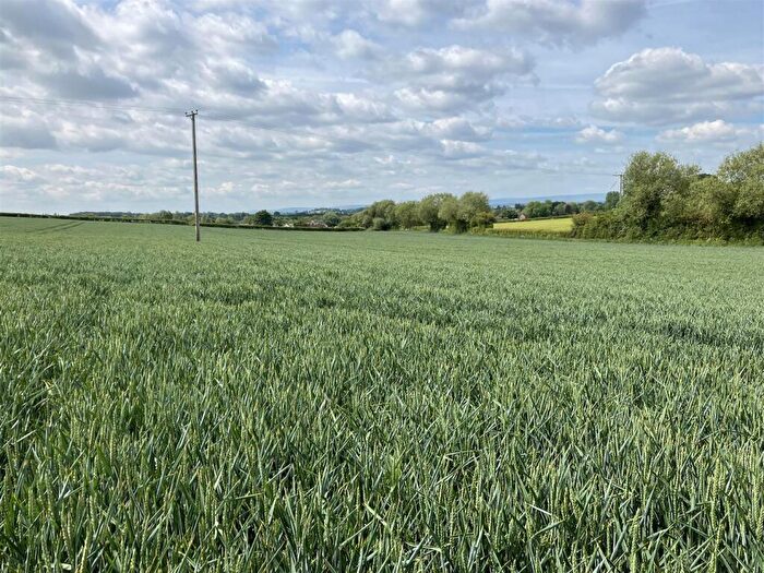 Land For Sale In Off Tillington Road, HR4