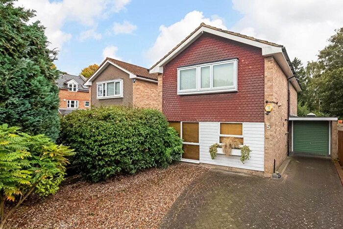 4 Bedroom Detached House To Rent In Hamlyn Gardens, Crystal Palace, London, SE19