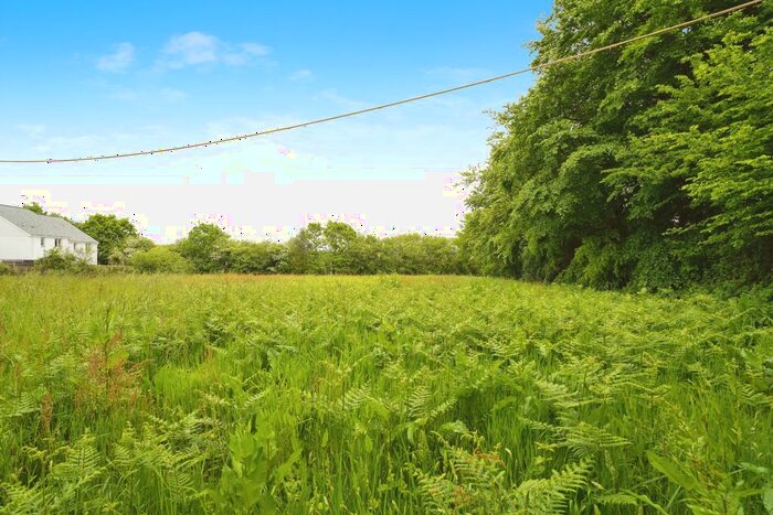 Land For Sale In Noels Meadow, Mount, Bodmin, PL30