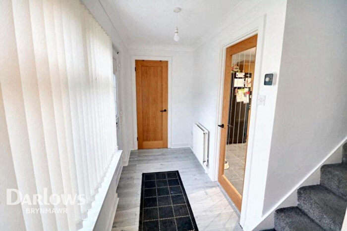 3 Bedroom Terraced House For Sale In Glanystruth, Blaina, NP13