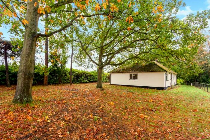 3 Bedroom Bungalow To Rent In Coxs Lane Upper Bucklebury, RG7