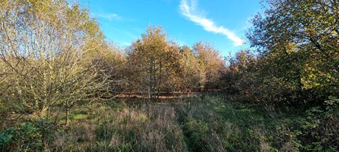 Land For Sale In Plot, Hazel Old Lane, Hensall, DN14