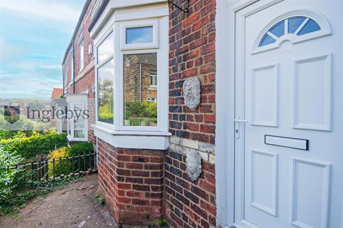 2 Bedroom Terraced House To Rent In Robinson Terrace, Loftus, TS13