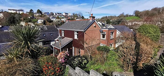 3 Bedroom Detached House For Sale In Drake Road, Tavistock, PL19
