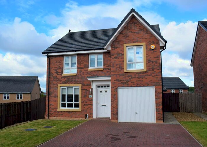 4 Bedroom Detached House To Rent In Skylark Wynd, Motherwell, North Lanarkshire, ML1