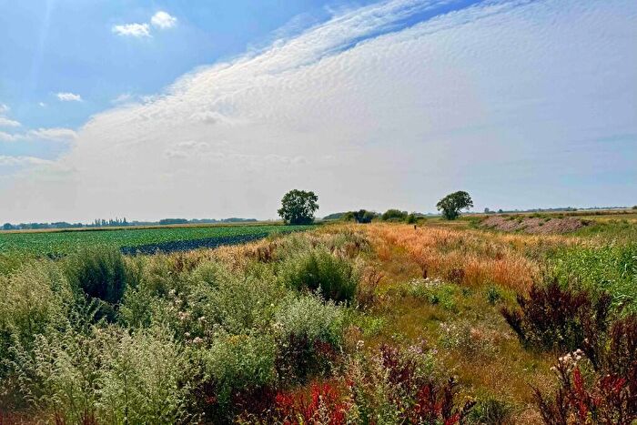 Farm Land For Sale In Dances Bank, Wigtoft, Boston, Lincolnshire, PE20