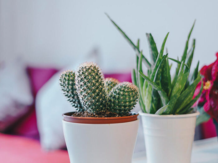 2 Bedroom Flat To Rent In Kings Road, Reading, RG1