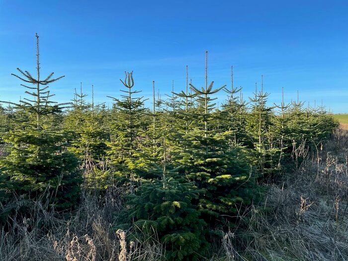 Farm Land For Sale In Lot, Home Farm, Tathwell, LN11