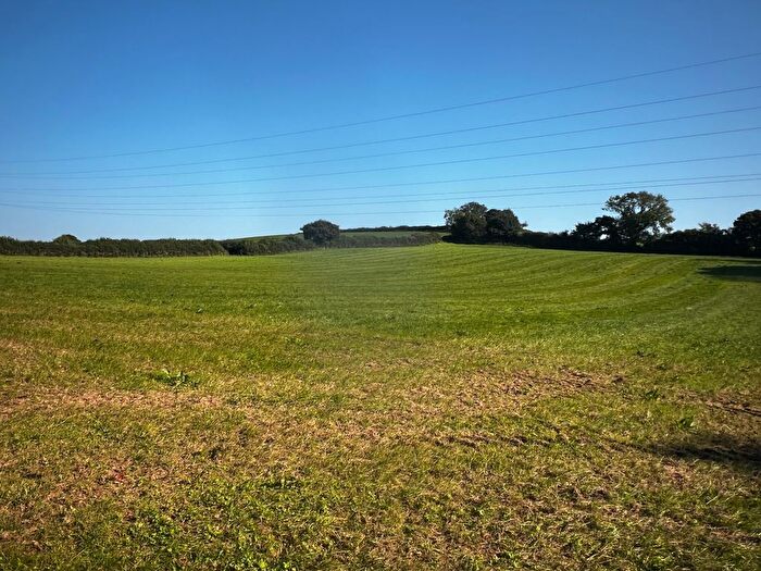 Land For Sale In Ugborough, Ivybridge, PL21