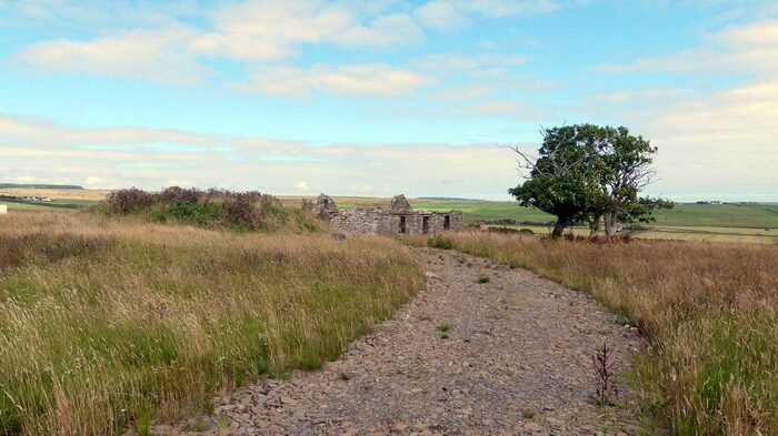 Land For Sale In Ruins And Land At Clashgall, Lybster, KW3