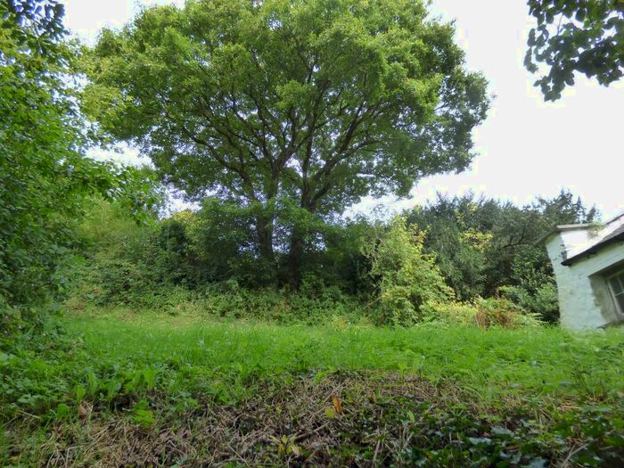 2 Bedroom Cottage To Rent In Llanarth, SA47