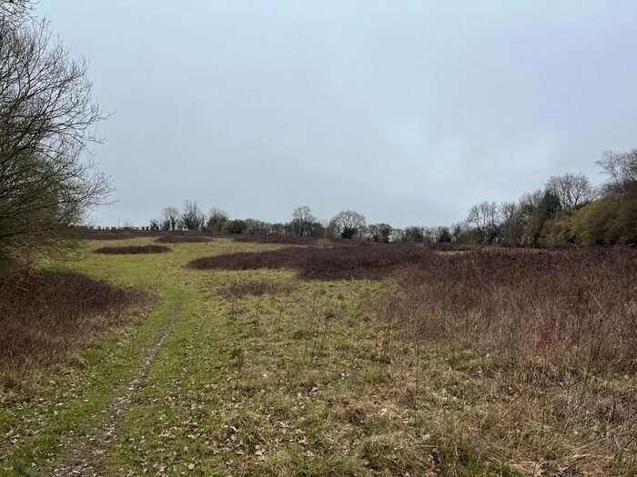 Land For Sale In Lamberhurst, Kent, TN3