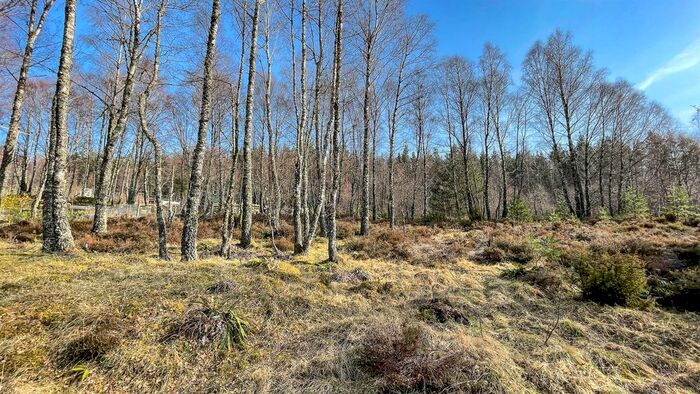 Land For Sale In Insh, Kingussie, PH21