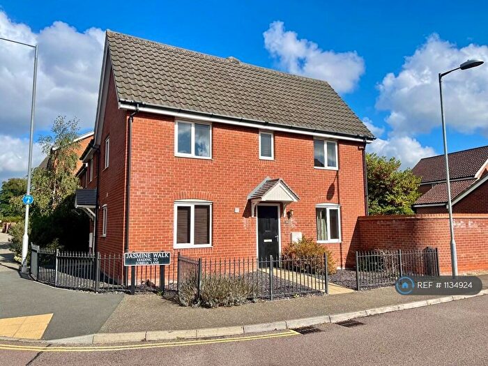 3 Bedroom Semi-Detached House To Rent In Jasmine Walk, Cringleford, Norwich, NR4