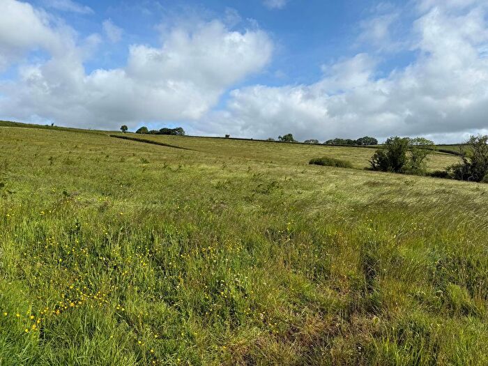 Land For Sale In Lot - Dipwell Farm, Ashburton, TQ13