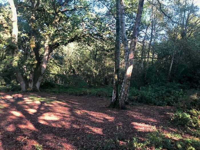 Land For Sale In Blackheath Lane, Surrey, GU4