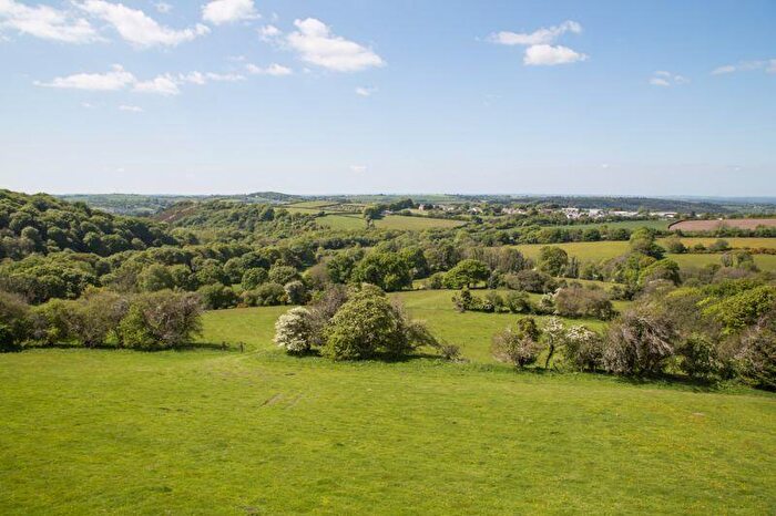 Land For Sale In Land & Derelict Farm, Okehampton/Belstone, EX20