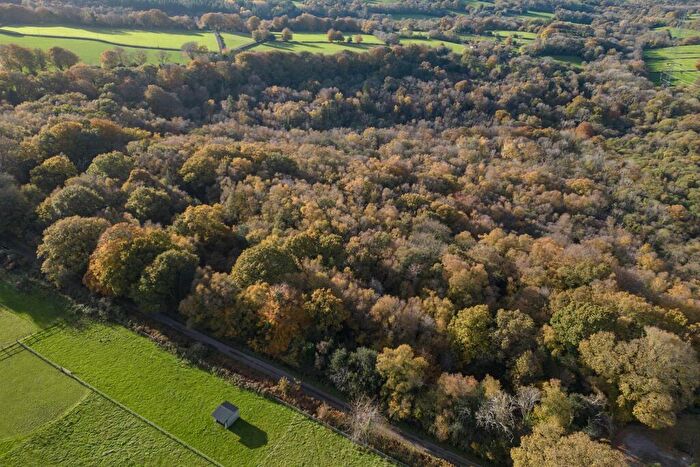 Farm Land For Sale In Hawkchurch, Axminster, EX13