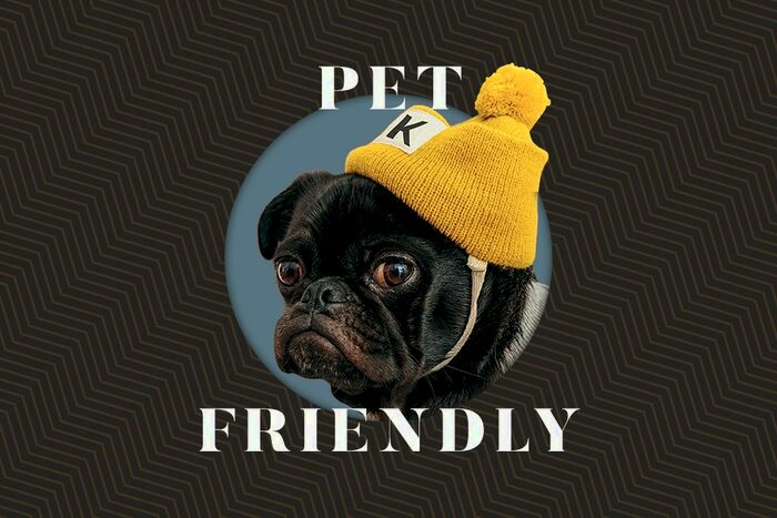 1 Bedroom Flat To Rent In Kooky High Wycombe, Desborough Road, High Wycombe, HP11