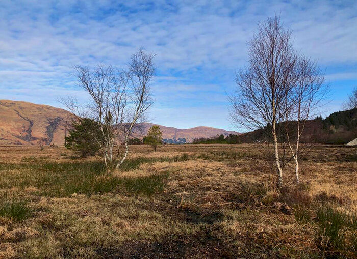 Plot For Sale In Plot, Bunree, Onich, PH33 - Photo 2